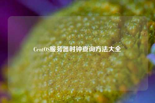 CentOS服務(wù)器時(shí)鐘查詢(xún)方法大全