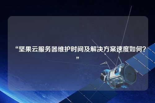 “堅果云服務(wù)器維護時間及解決方案速度如何？”