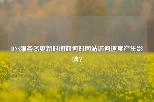 DNS服務器更新時間如何對網站訪問速度產生影響？