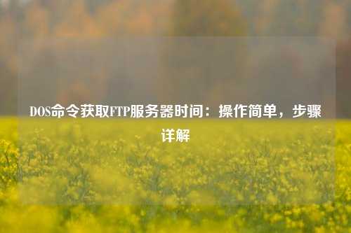 DOS命令獲取FTP服務(wù)器時(shí)間：操作簡(jiǎn)單，步驟詳解