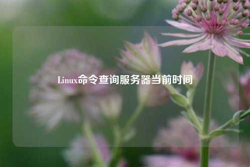 Linux命令查詢服務(wù)器當前時間