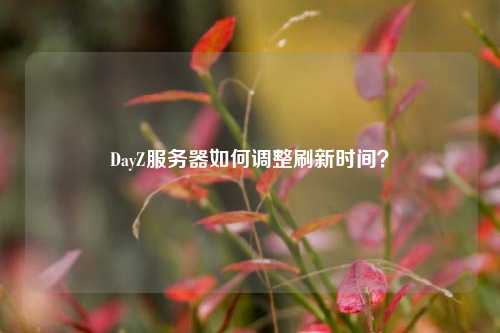 DayZ服務(wù)器如何調(diào)整刷新時(shí)間？