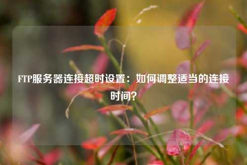 FTP服務(wù)器連接超時(shí)設(shè)置：如何調(diào)整適當(dāng)?shù)倪B接時(shí)間？