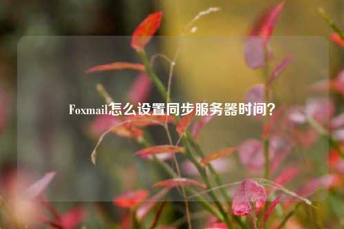 Foxmail怎么設置同步服務器時間？