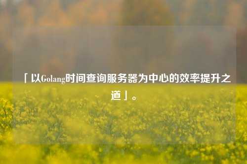 「以Golang時間查詢服務(wù)器為中心的效率提升之道」。