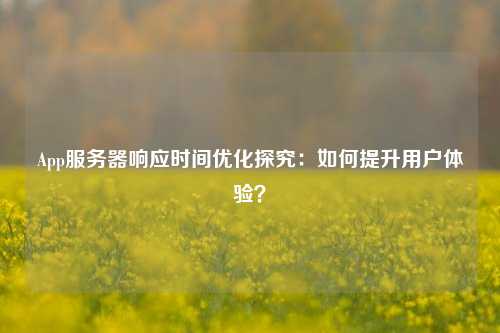 App服務器響應時間優(yōu)化探究：如何提升用戶體驗？