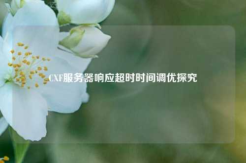 CXF服務(wù)器響應(yīng)超時時間調(diào)優(yōu)探究