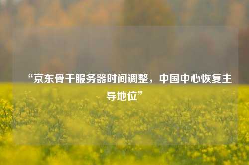 “京東骨干服務(wù)器時間調(diào)整，中國中心恢復(fù)主導(dǎo)地位”