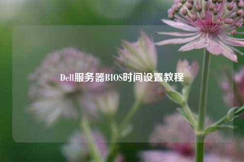 Dell服務(wù)器BIOS時(shí)間設(shè)置教程