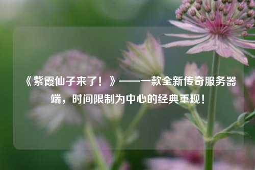 《紫霞仙子來了！》——一款全新傳奇服務(wù)器端，時間限制為中心的經(jīng)典重現(xiàn)！