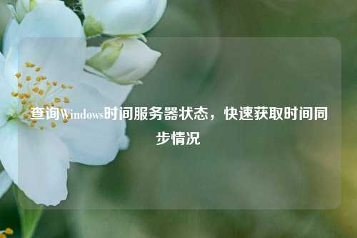 查詢Windows時間服務(wù)器狀態(tài)，快速獲取時間同步情況