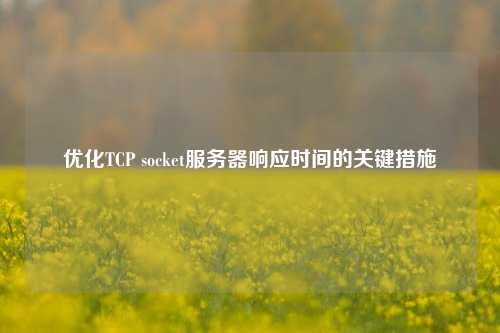 優(yōu)化TCP socket服務(wù)器響應(yīng)時(shí)間的關(guān)鍵措施