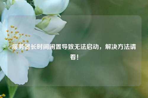 服務(wù)器長(zhǎng)時(shí)間閑置導(dǎo)致無(wú)法啟動(dòng)，解決方法請(qǐng)看！