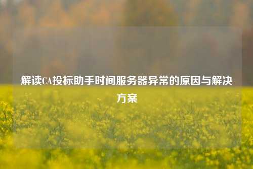 解讀CA投標(biāo)助手時間服務(wù)器異常的原因與解決方案