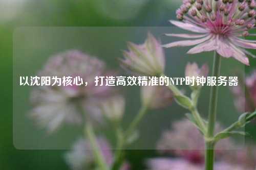 以沈陽為核心，打造高效精準的NTP時鐘服務器