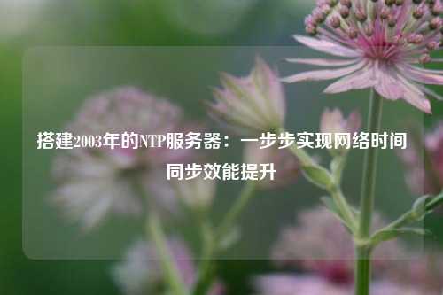 搭建2003年的NTP服務器：一步步實現(xiàn)網(wǎng)絡時間同步效能提升