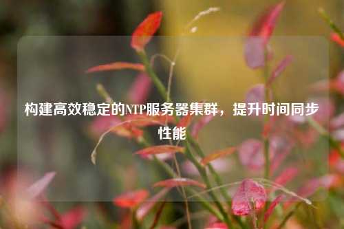 構建高效穩(wěn)定的NTP服務器集群，提升時間同步性能