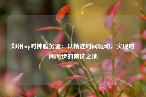 鄭州ntp時鐘服務(wù)器：以精準(zhǔn)時間驅(qū)動，實現(xiàn)時間同步的首選之地