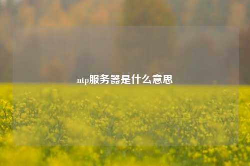 ntp服務(wù)器是什么意思